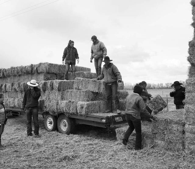 03.25.16 Getting hay